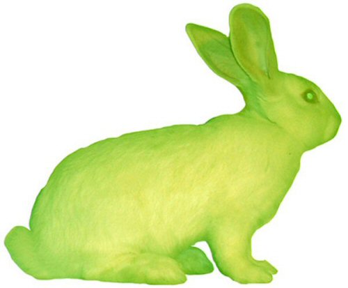 GFP Bunny 2000